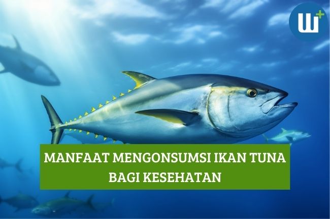 8 Manfaat Konsumsi Ikan Tuna untuk Kesehatan Tubuh